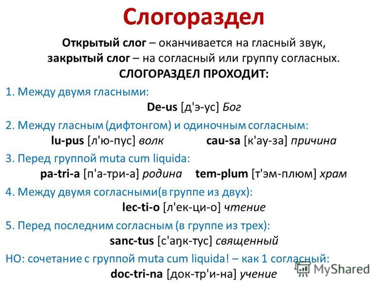 Признаком краткости слога зависит в латыни от признаком краткости слога зависит в латыни от