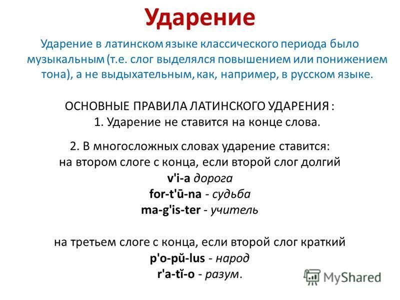 Признаком краткости слога зависит в латыни от признаком краткости слога зависит в латыни от