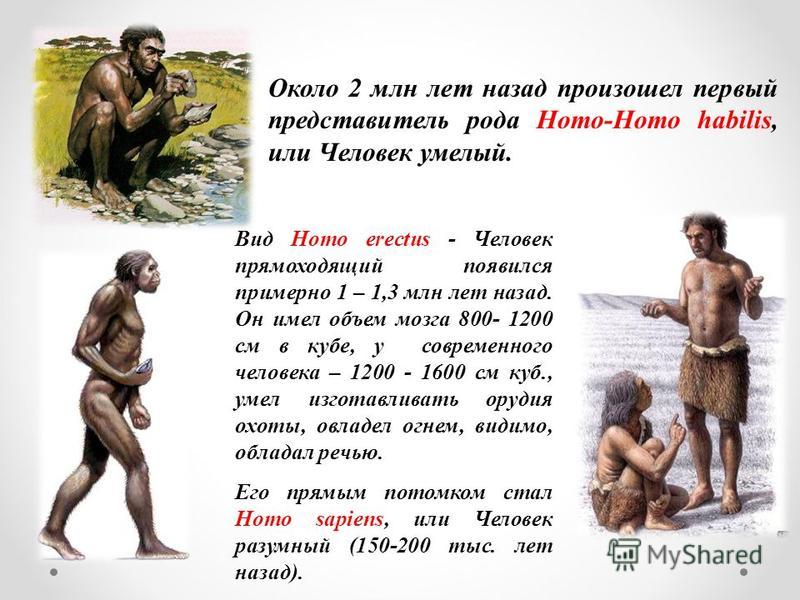 Около 2 млн лет назад произошел первый представитель рода Homo-Homo habilis, или Человек умелый. Вид Homo erectus - Человек прямоходящий появился примерно 1 – 1,3 млн лет назад. Он имел объем мозга 800- 1200 см в кубе, у современного человека – 1200 