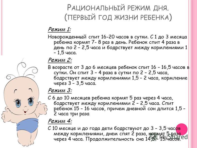 Ребёнок 1 год 2 месяца развитие комаровский Ребёнок 1 год 2 месяца развитие комаровский
