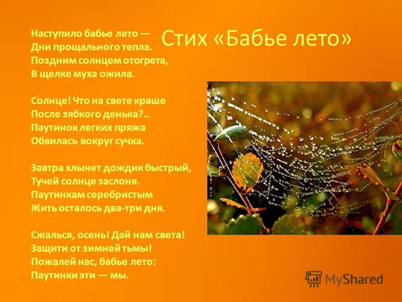 Стих кедрина о бабьем лете Стих кедрина о бабьем лете
