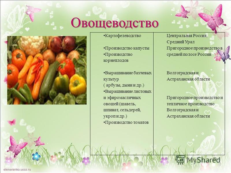 органическое земледелие - Журнал "Картофельная Система"