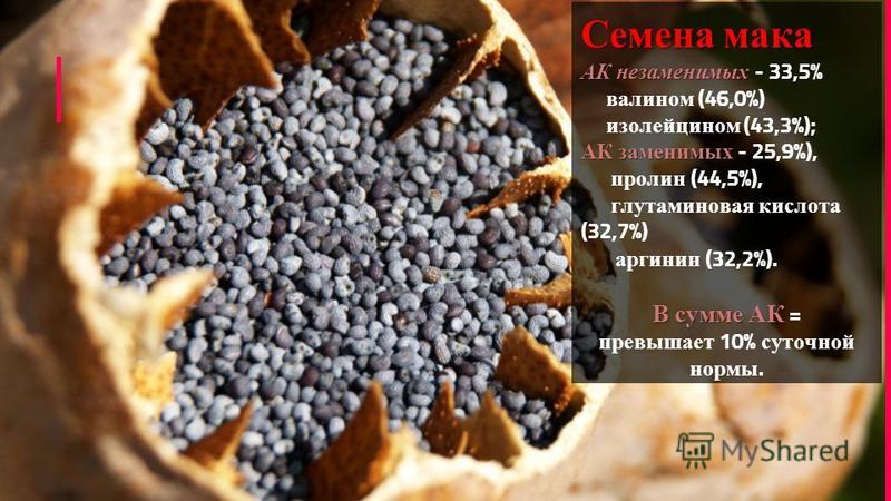Уход за ногтями - покрытие ногтей лаком. Как красить ногти Трескается и лопается кожа между пальцами ног: чем лечить?