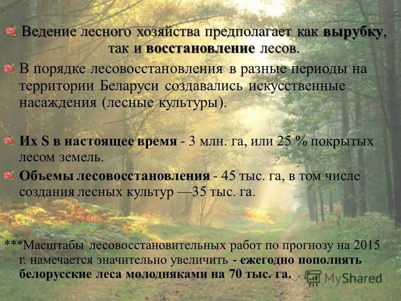 Ведение лесного хозяйства предполагает как вырубку, так и восстановление лесов. В порядке лесовосстановления в разные периоды на территории Беларуси создавались искусственные насаждения (лесные культуры). Их S в настоящее время - 3 млн. га, или 25 % 