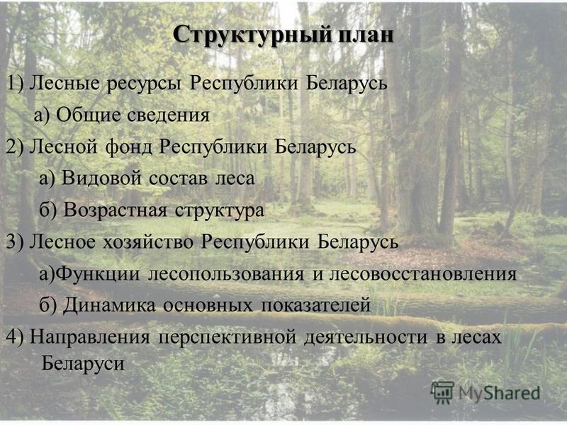 Реферат: Лесной комплекс Республики Беларусь