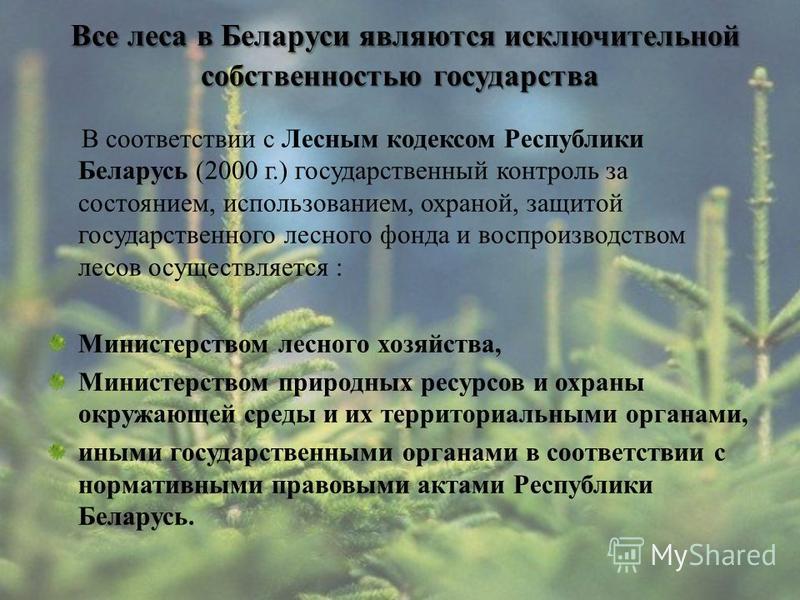 Все леса в Беларуси являются исключительной собственностью государства В соответствии с Лесным кодексом Республики Беларусь (2000 г.) государственный контроль за состоянием, использованием, охраной, защитой государственного лесного фонда и воспроизво