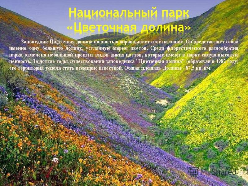 Комбинезоны женские черные с чем носить Комбинезоны женские черные с чем носить