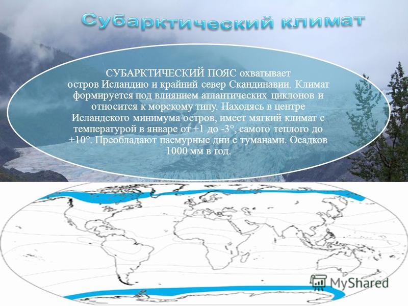 Географическое расположение субарктического пояса Презентация субарктический пояс