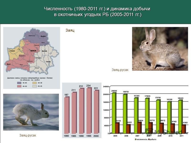 Уменьшение численности населения называется How-info.ru