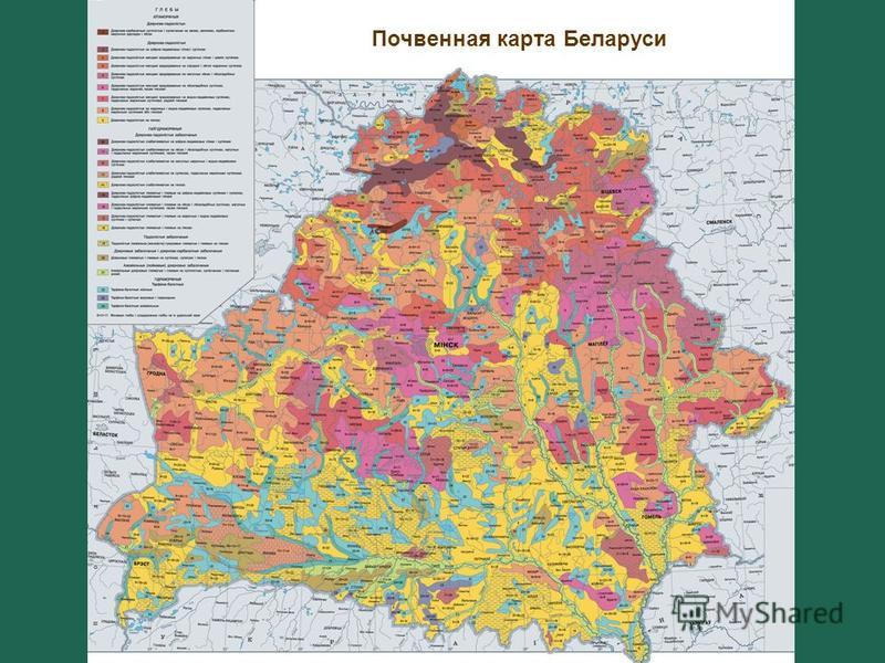 Характеристика Витебской области (климат, рельеф, почвенно-грунтовые.) Грунт, земля в Витебской области. Сравнить цены, купить промышленные