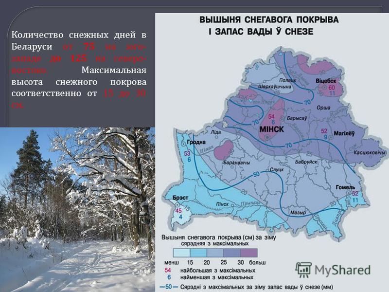 Количество снежных дней в Беларуси от 75 на юго- западе до 125 на северо- востоке. Максимальная высота снежного покрова соответственно от 15 до 30 см.