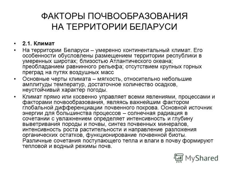 Это Реферат На Тему Почвы Республики Беларусь Это Реферат На Тему Почвы Республики Беларусь