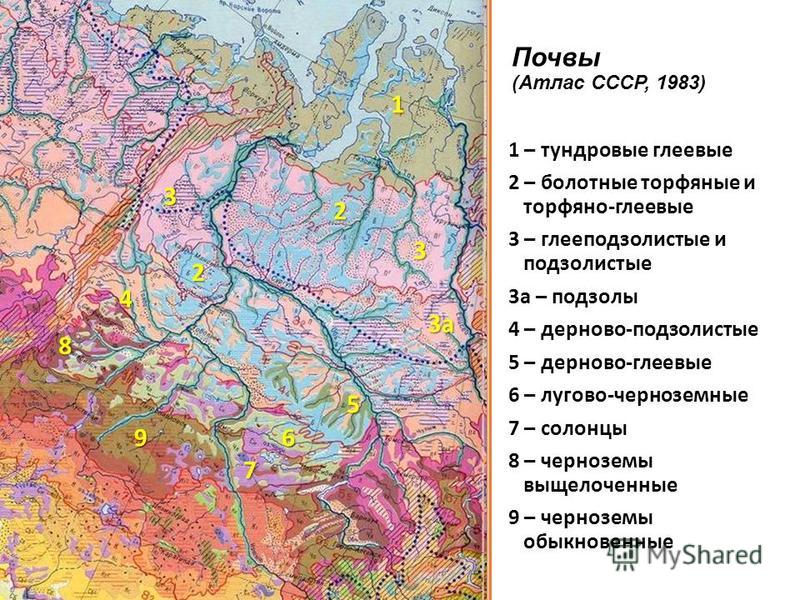 комплементарные структуры в диалогическом синтаксисе современного немецкого