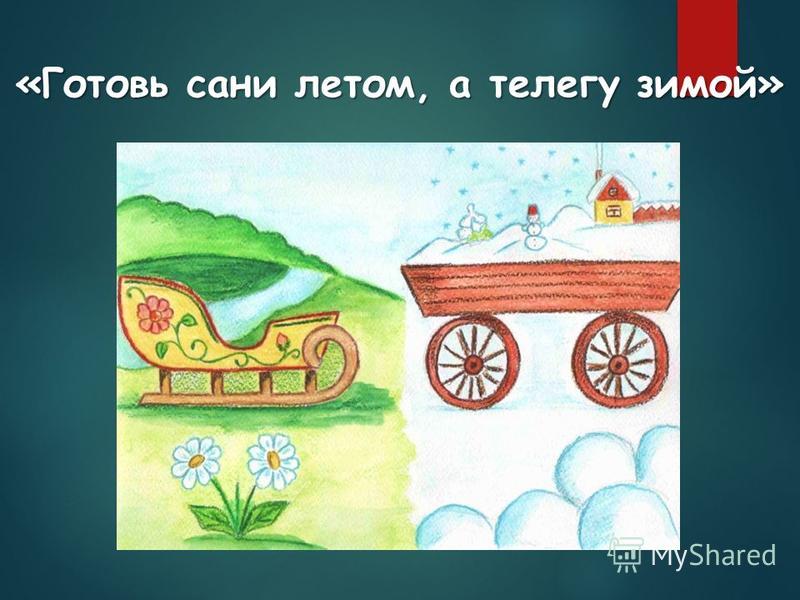 2019 год - Готовь сани летом, а телегу – зимой, или что посеять на рассаду в феврале 2019 год - Какую рассаду посадить в феврале? Сроки посева семян
