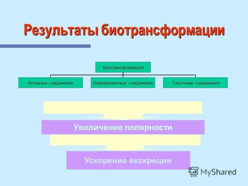 Ксикаин Инструкция По Применению