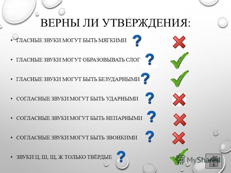 Верно ли утверждение что проекты и программы