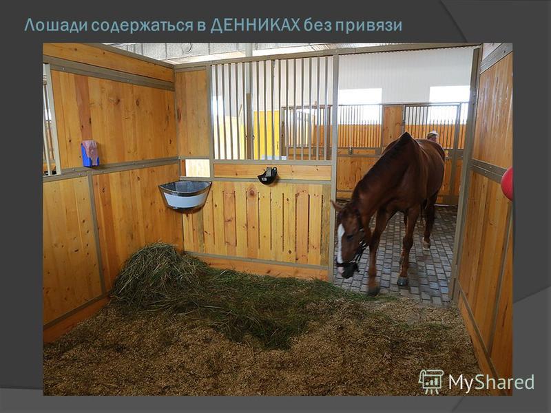 Тв антенна своими руками подручные средства Тв антенна своими руками подручные средства