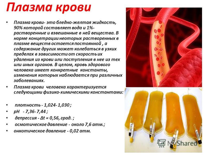 Как выглядит плазма крови человека