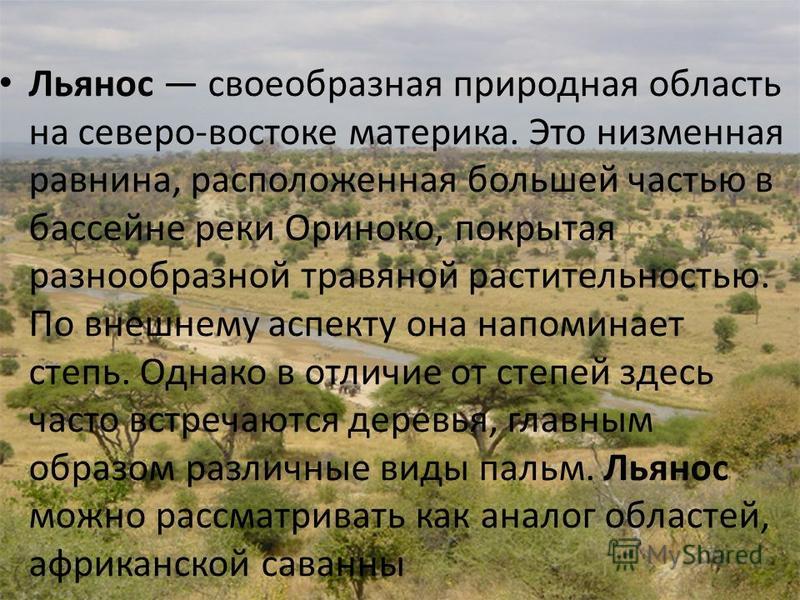 Географическое расположение природной зоны льянос