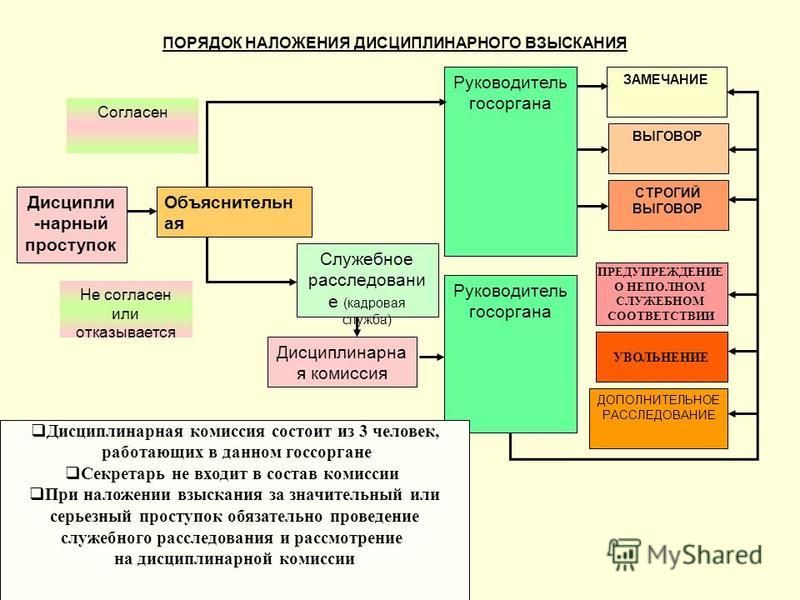 Отразите в виде схемы алгоритма порядок применения дисциплинарных взысканий к обучающимся