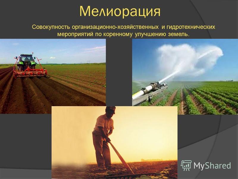 Презентация на тему: "Агропромышленный комплекс России Мингалева Л.Н.,2004.". Ск