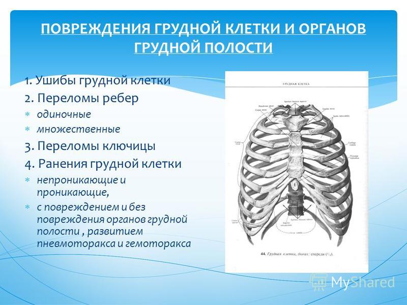 Реферат: Повреждения грудной клетки и органов грудной полости