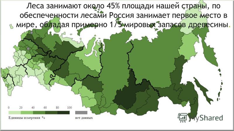 Интерактивная карта минлесхоз