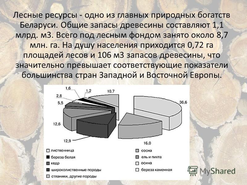 Лесные ресурсы - одно из главных природных богатств Беларуси. Общие запасы древесины составляют 1,1 млрд. м 3. Всего под лесным фондом занято около 8,7 млн. га. На душу населения приходится 0,72 га площадей лесов и 106 м 3 запасов древесины, что знач
