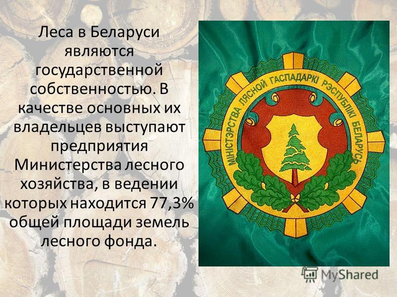 Леса в Беларуси являются государственной собственностью. В качестве основных их владельцев выступают предприятия Министерства лесного хозяйства, в ведении которых находится 77,3% общей площади земель лесного фонда.