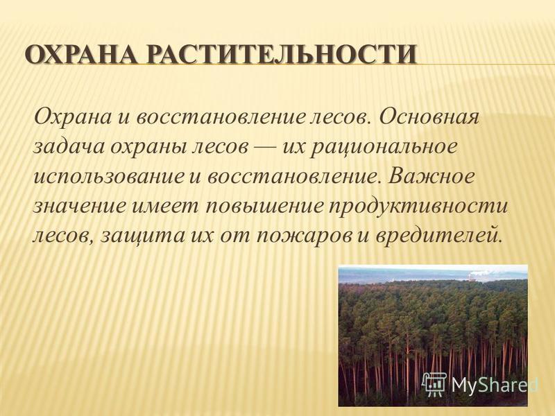 Реферат: Рациональное использование и охрана растительности