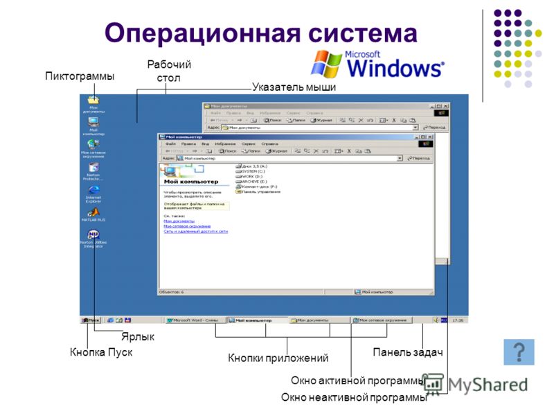 программы аппаратного похудения в новосибирске программы аппаратного похудения в новосибирске
