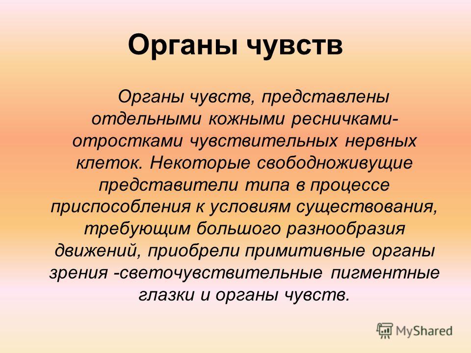 приспособления паразитов к жизни в организме хозяина приспособления паразитов к жизни в организме хозяина