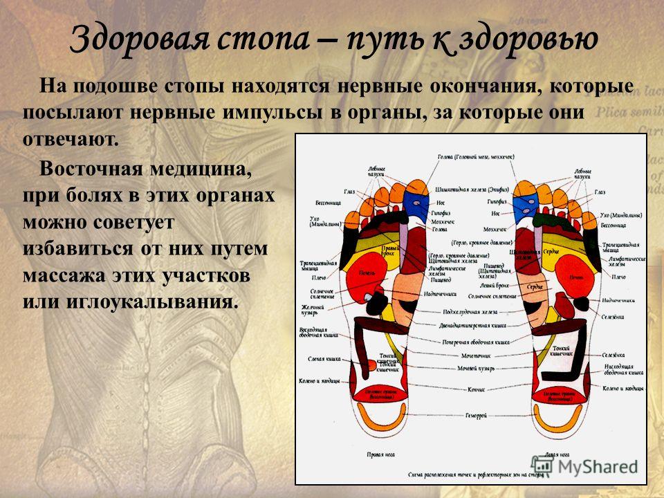 Как загорать на солнце. Как получить красивый быстрый загар Как вырастить лаванду из семян дома на подоконнике