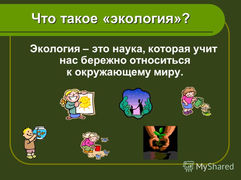 Презентация словарные слова 4 класс