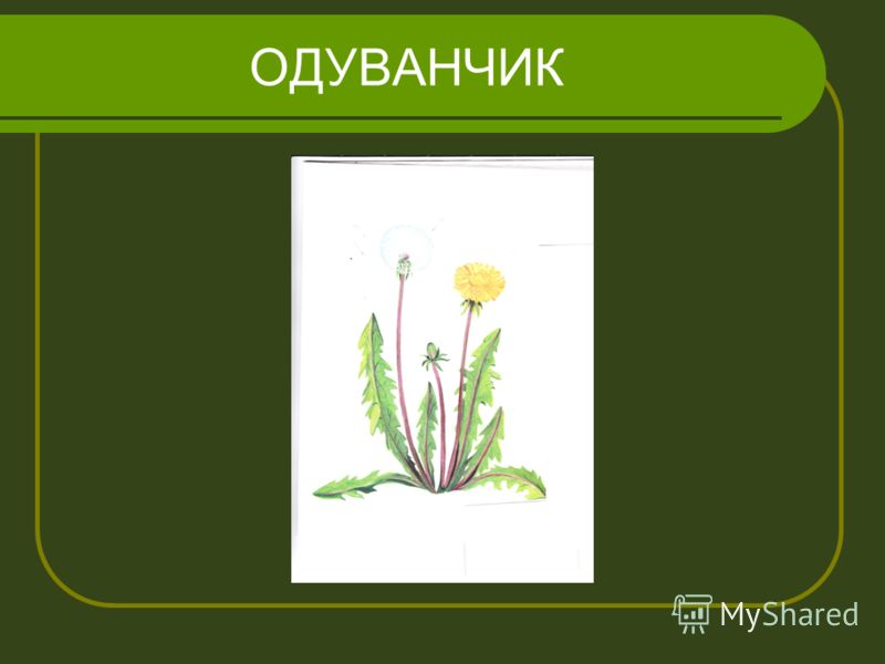 Рабочая тетрадь по русскому языку 5 класс ладыженская: Последние новинки фильмов, музыки, игр, софта 21 век математика 3 класс тематическое планирование с ууд