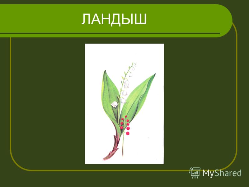 Рабочая программа по математике 2 класс виноградова: Последние новинки фильмов, музыки, игр, софта Афанасьева 6 класс ответы