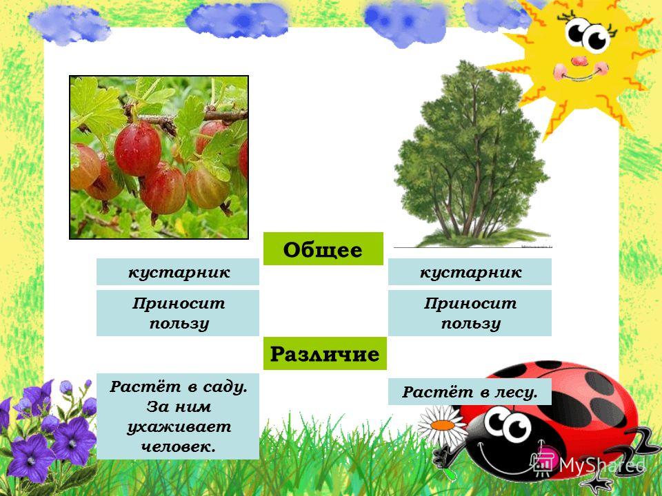 Быстро вылечить ангину