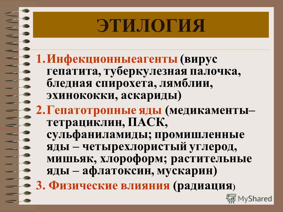 препараты от кишечных паразитов людей препараты от кишечных паразитов людей