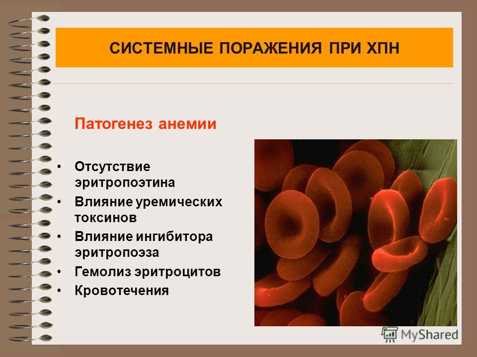 запах изо рта легкие запах изо рта легкие