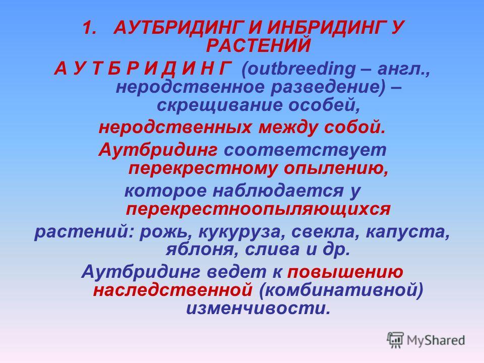 Лесбиянки медсестры: смотреть русское порно видео онлайн