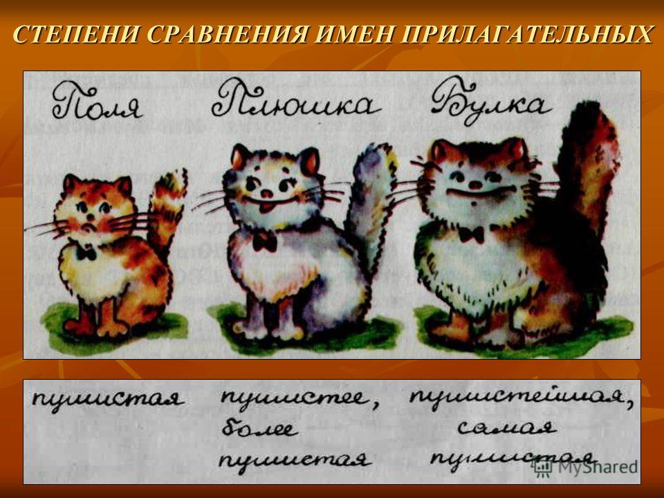 Степени сравнения имен Степени сравнения имен