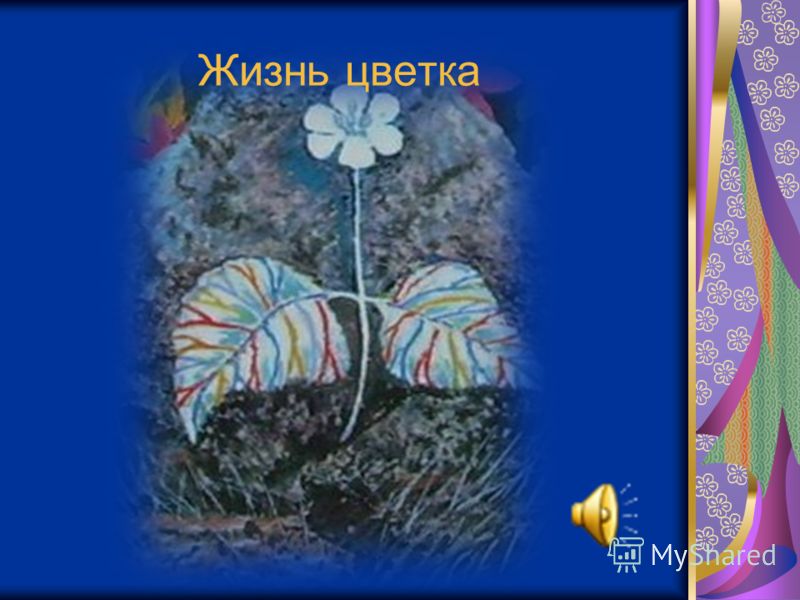 андрей платонов цветок на земле слушать онлайн андрей платонов цветок на земле слушать онлайн