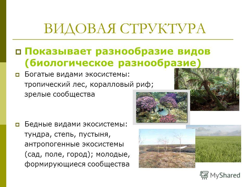водонагреватели аристон инструкция