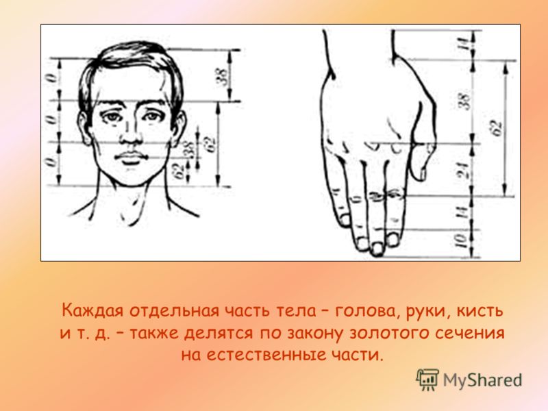 Tlc Естественные Отношения Скачать Tlc Естественные Отношения Скачать