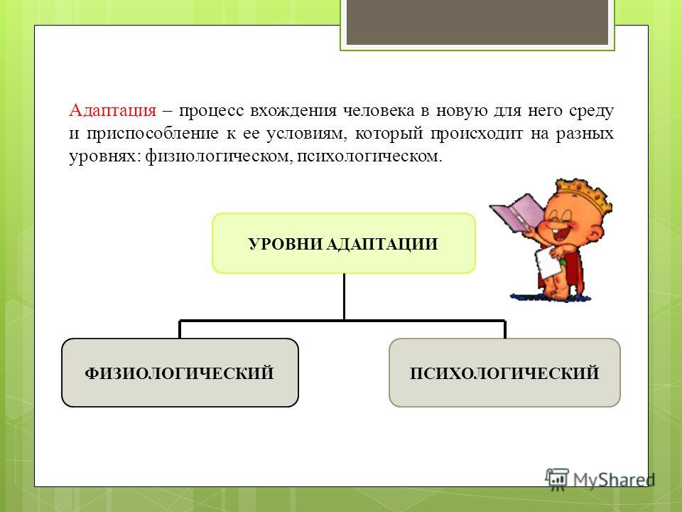 Презентация адаптация к доу