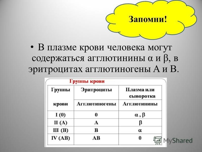 Презентация "Сердечно-сосудистая система. Кровь" - скачать бесплатно