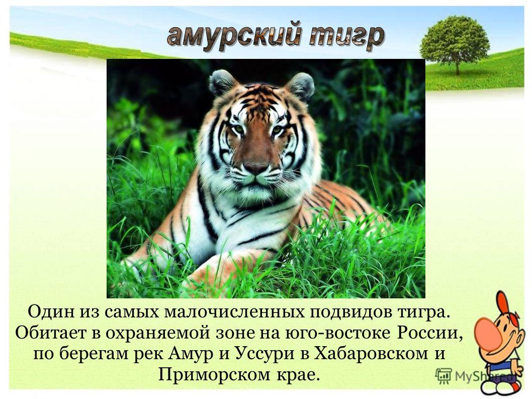 download бегайте на здоровье!