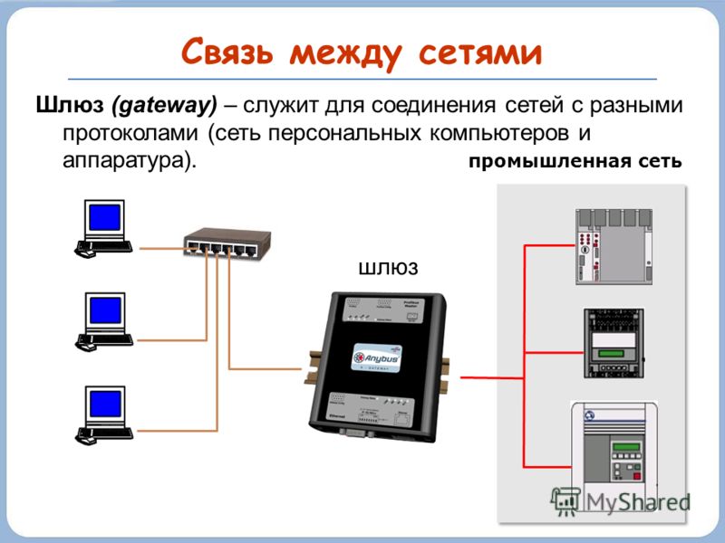 openvz мост с двумя сетевыми картами