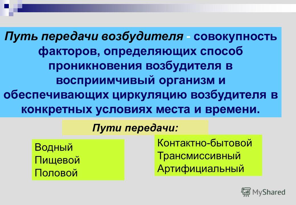 инъекции от паразитов для человека инъекции от паразитов для человека