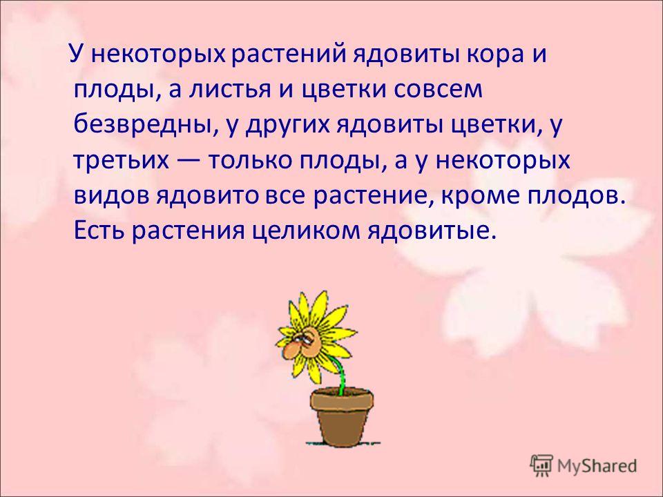 Учебник литературы 5 класс коровина